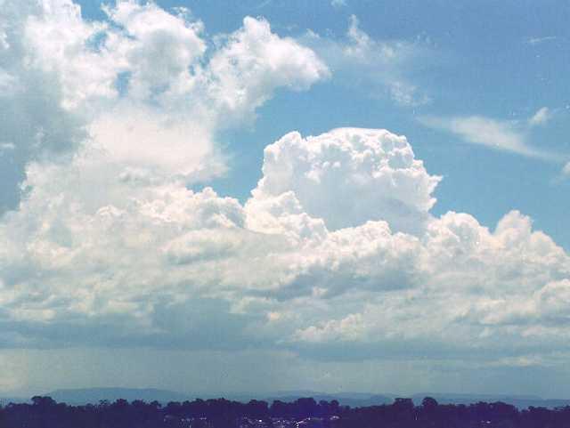 Cumulus Cloud - Rooty Hill, NSW Australi